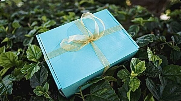 A blue box with a bow on top of some green leaves